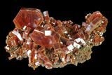 Red & Brown Vanadinite Crystal Cluster - Morocco #133731-1